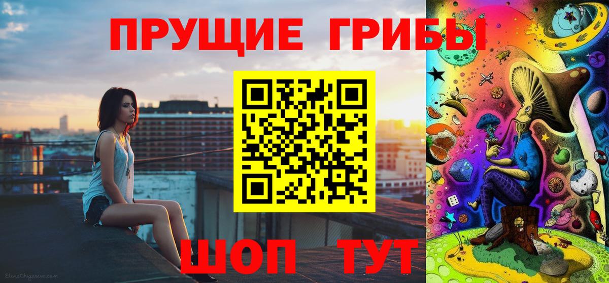 Тавда  Псилоцибиновые грибы Psilocybe  Вход с VPN 