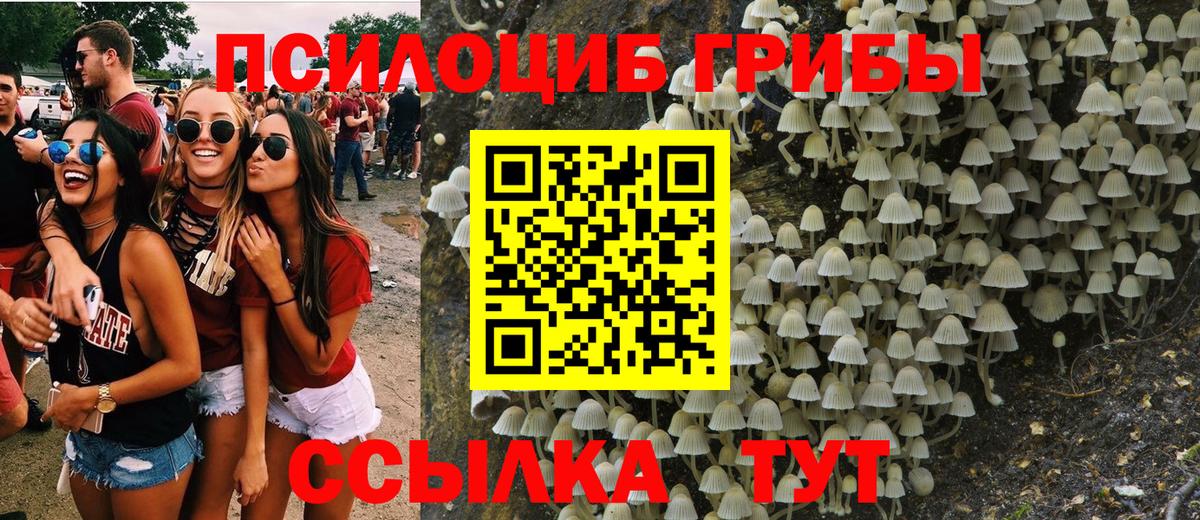 Псилоцибиновые грибы ЛСД Тавда